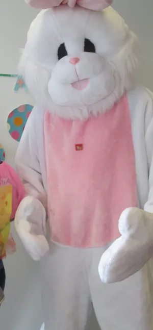 Easter Bunny or Rabbit